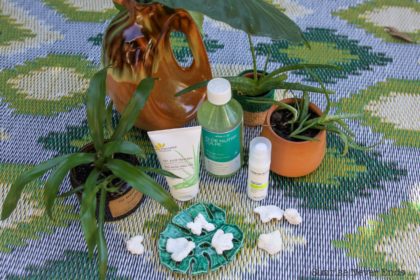 aloe vera,green,i love green,beauty,beauté,cosmétiques,bio,plantes,phytothérapie,dermaceutic,laboratoires aragan,fleurance nature,sigg,gourde,pulpe fraiche d'aloe vera