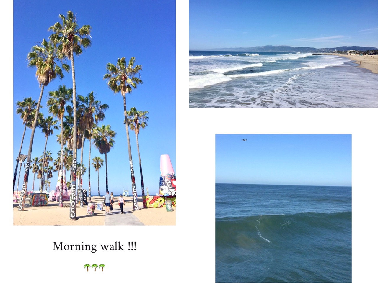 venice beach,mornign walk,cartes postales,californie,los angeles,aliceetfantomettre,aliceetfantometteencalifornie,travel,travel guide,voyage